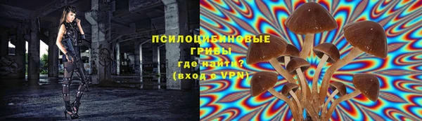 соль ск Армянск