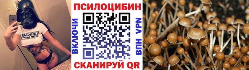 Галлюциногенные грибы MAGIC MUSHROOMS  Купить  Конаково 